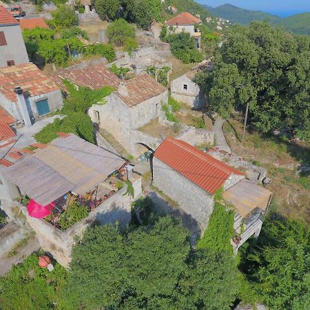 Cottage Melita The Apartment For Animal Lovers Babino Polje 외부 사진