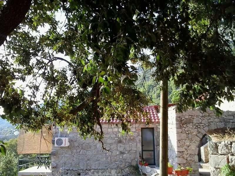 Cottage Melita The Apartment For Animal Lovers Babino Polje 외부 사진