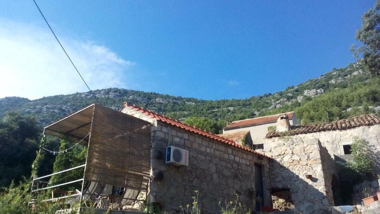 Cottage Melita The Apartment For Animal Lovers Babino Polje 외부 사진