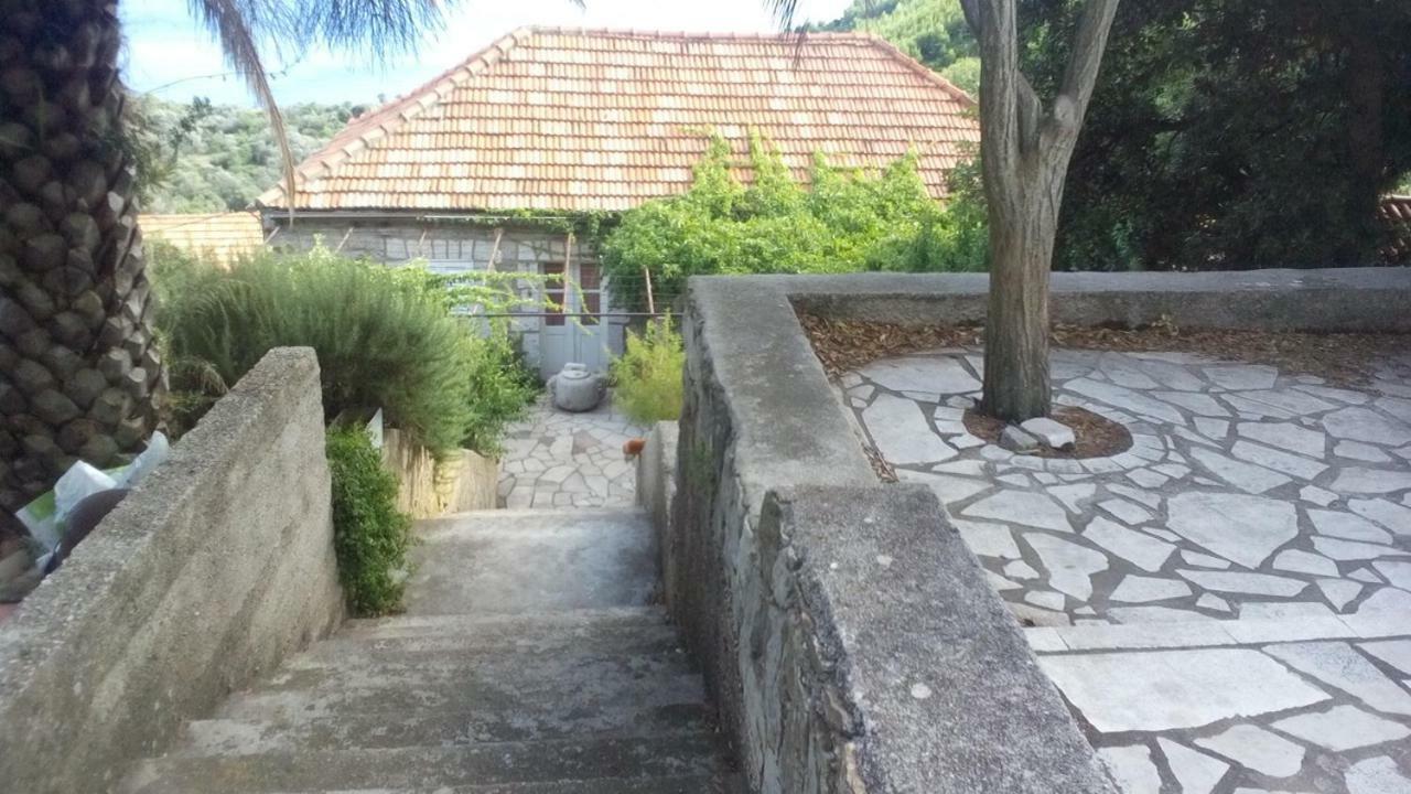 Cottage Melita The Apartment For Animal Lovers Babino Polje 외부 사진