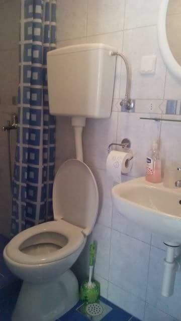 Cottage Melita The Apartment For Animal Lovers Babino Polje 외부 사진