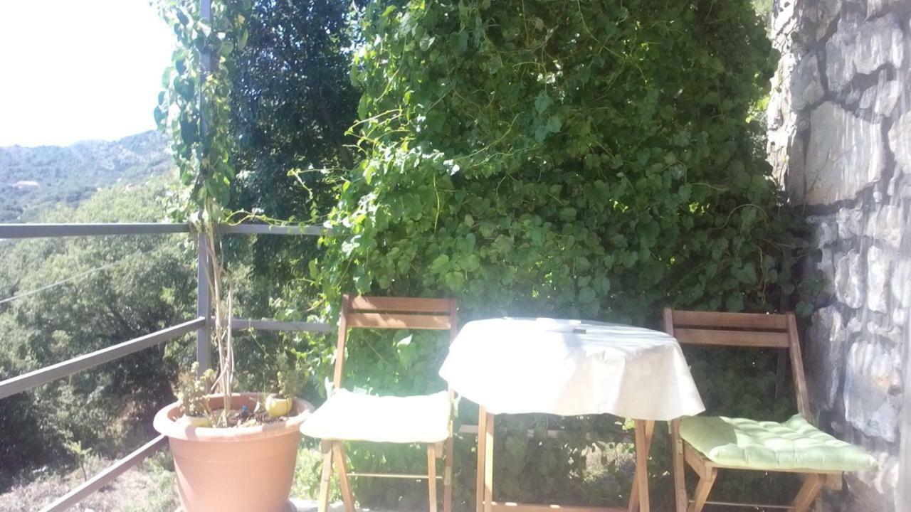 Cottage Melita The Apartment For Animal Lovers Babino Polje 외부 사진