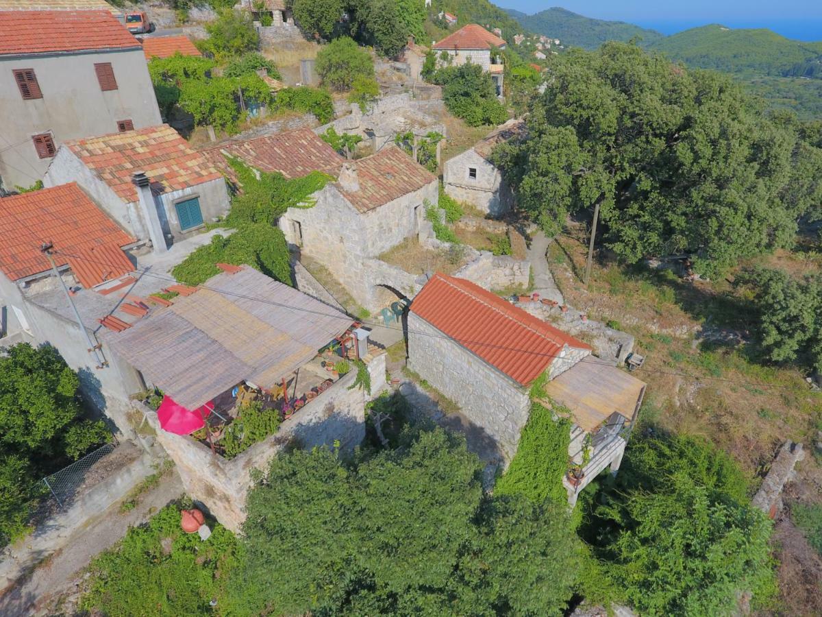 Cottage Melita The Apartment For Animal Lovers Babino Polje 외부 사진