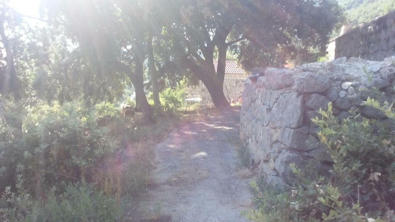 Cottage Melita The Apartment For Animal Lovers Babino Polje 외부 사진