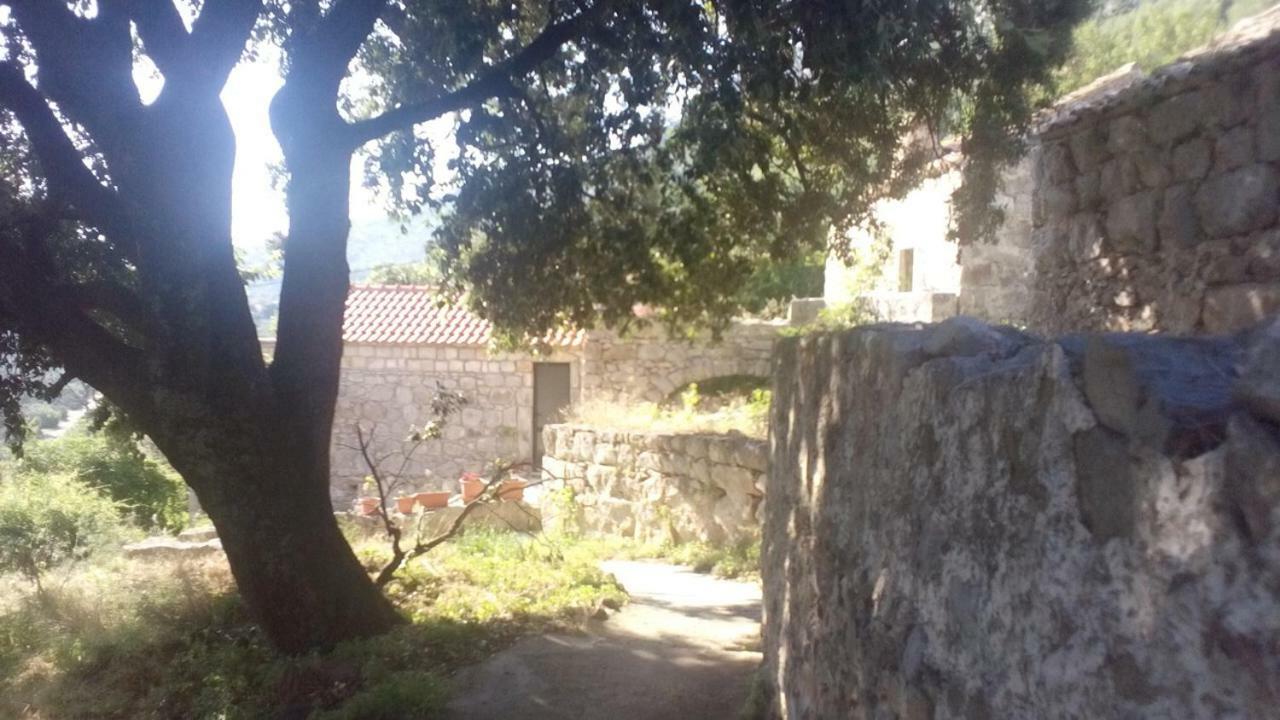 Cottage Melita The Apartment For Animal Lovers Babino Polje 외부 사진
