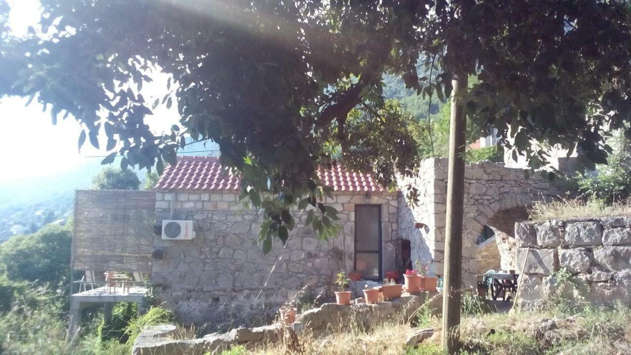 Cottage Melita The Apartment For Animal Lovers Babino Polje 외부 사진