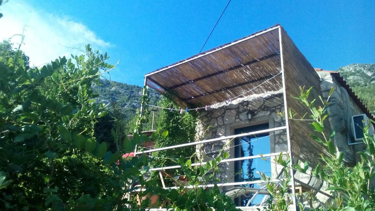 Cottage Melita The Apartment For Animal Lovers Babino Polje 외부 사진