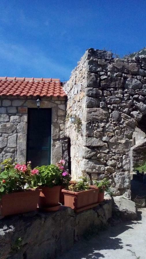 Cottage Melita The Apartment For Animal Lovers Babino Polje 외부 사진