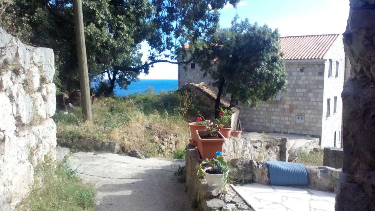 Cottage Melita The Apartment For Animal Lovers Babino Polje 외부 사진
