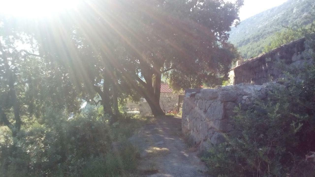 Cottage Melita The Apartment For Animal Lovers Babino Polje 외부 사진