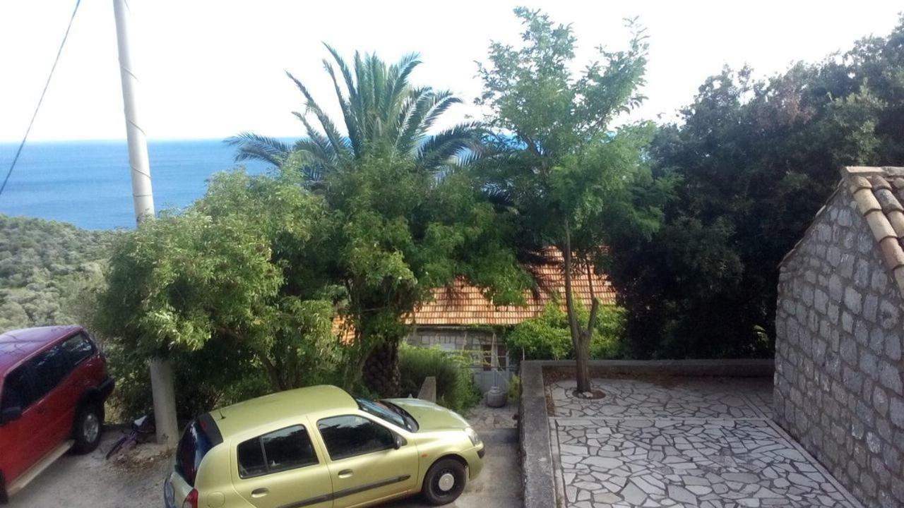 Cottage Melita The Apartment For Animal Lovers Babino Polje 외부 사진