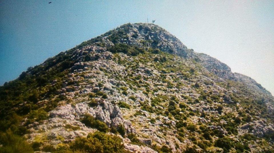 Cottage Melita The Apartment For Animal Lovers Babino Polje 외부 사진