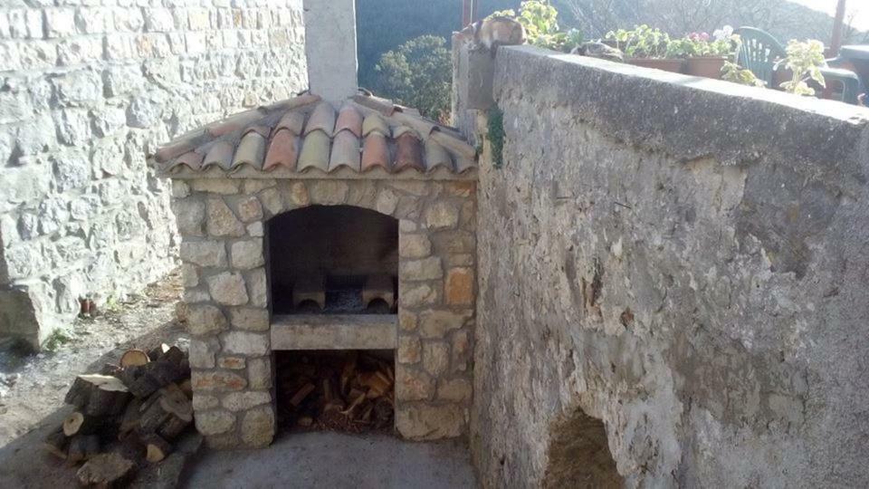 Cottage Melita The Apartment For Animal Lovers Babino Polje 외부 사진