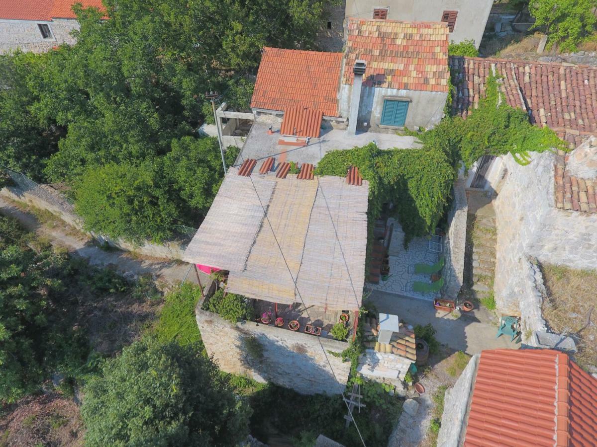 Cottage Melita The Apartment For Animal Lovers Babino Polje 외부 사진