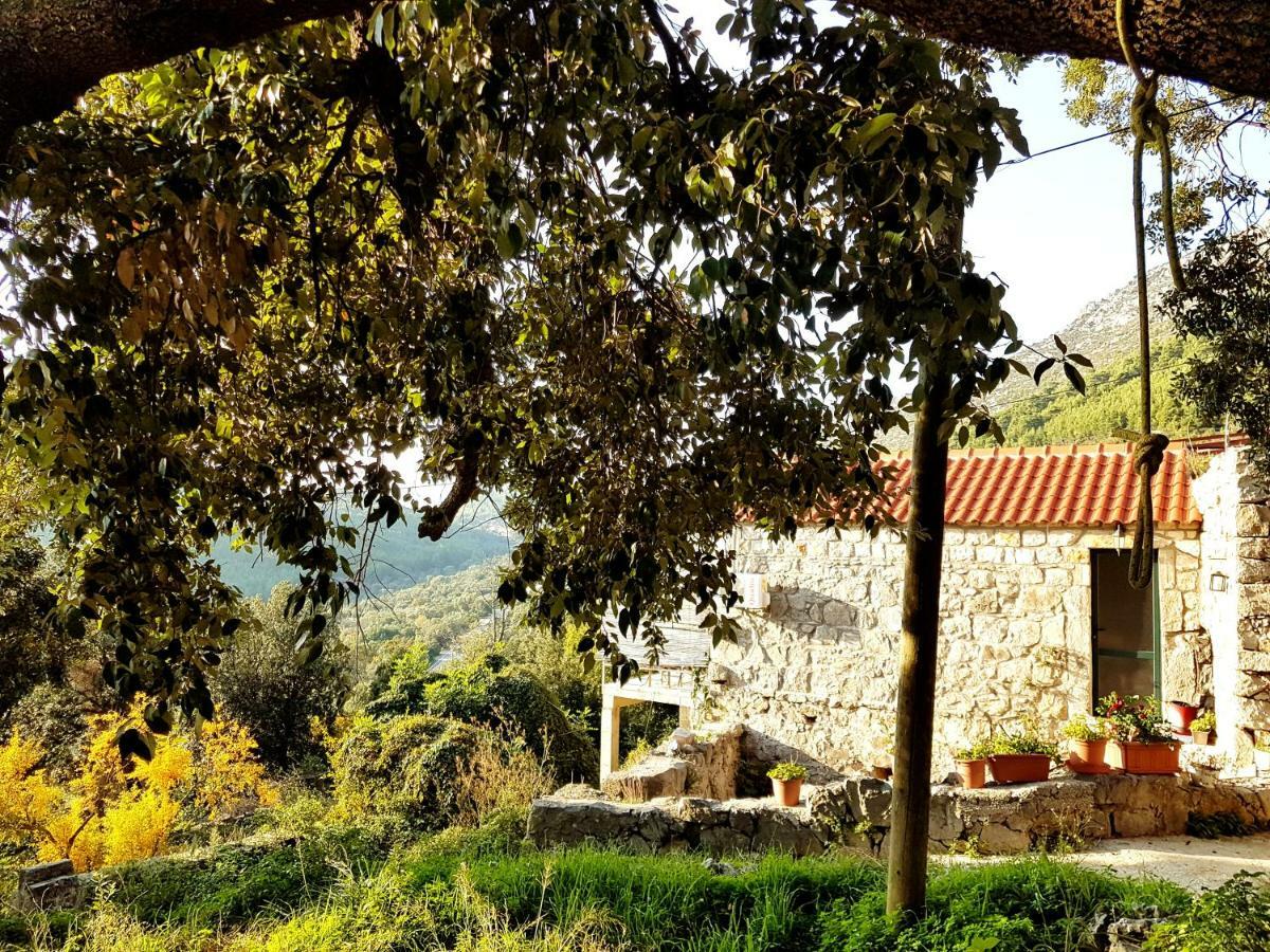 Cottage Melita The Apartment For Animal Lovers Babino Polje 외부 사진