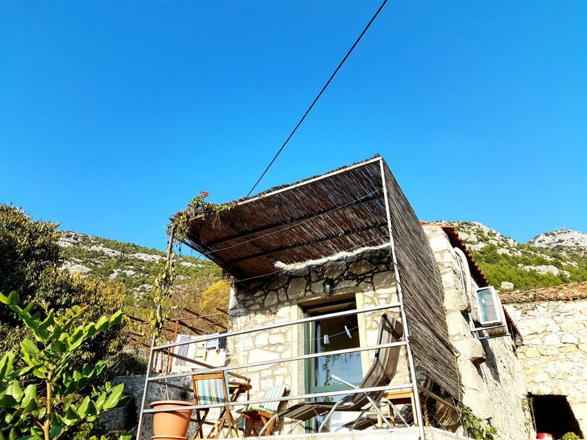 Cottage Melita The Apartment For Animal Lovers Babino Polje 외부 사진