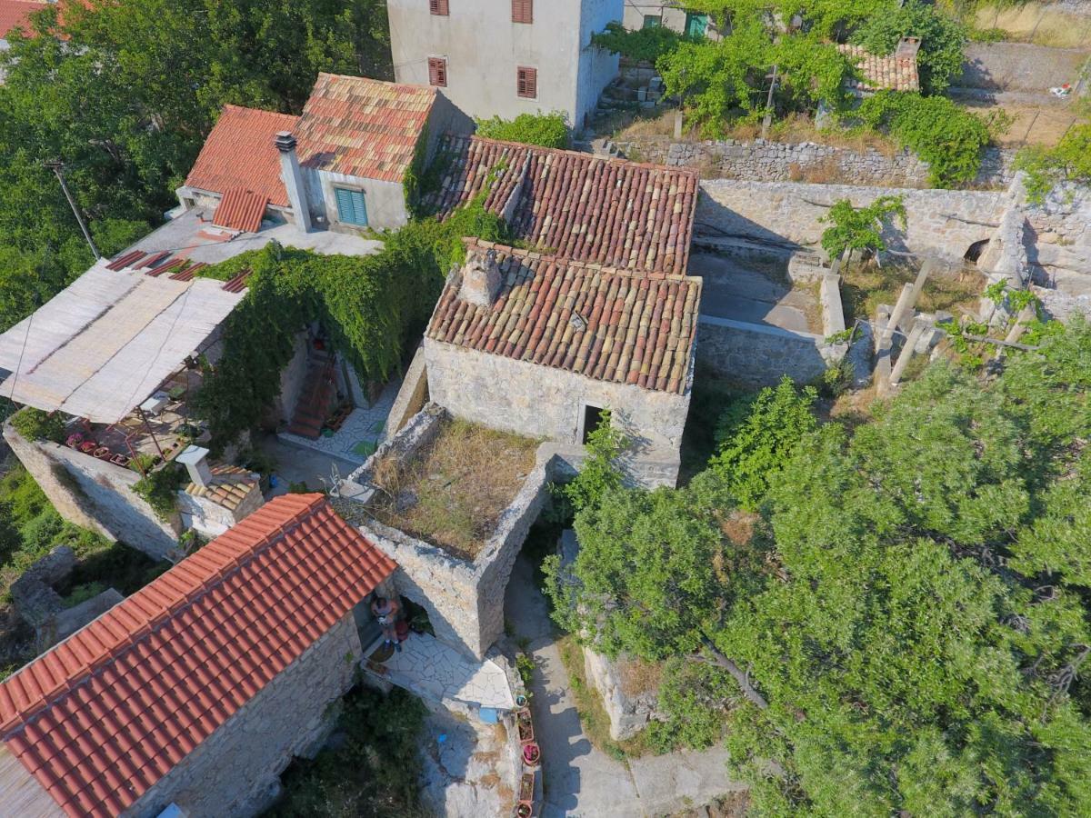 Cottage Melita The Apartment For Animal Lovers Babino Polje 외부 사진