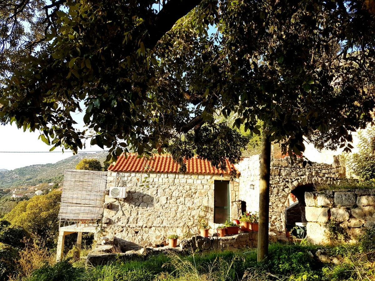Cottage Melita The Apartment For Animal Lovers Babino Polje 외부 사진