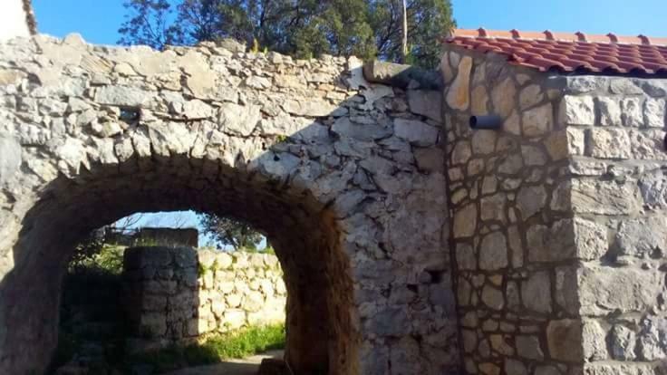 Cottage Melita The Apartment For Animal Lovers Babino Polje 외부 사진