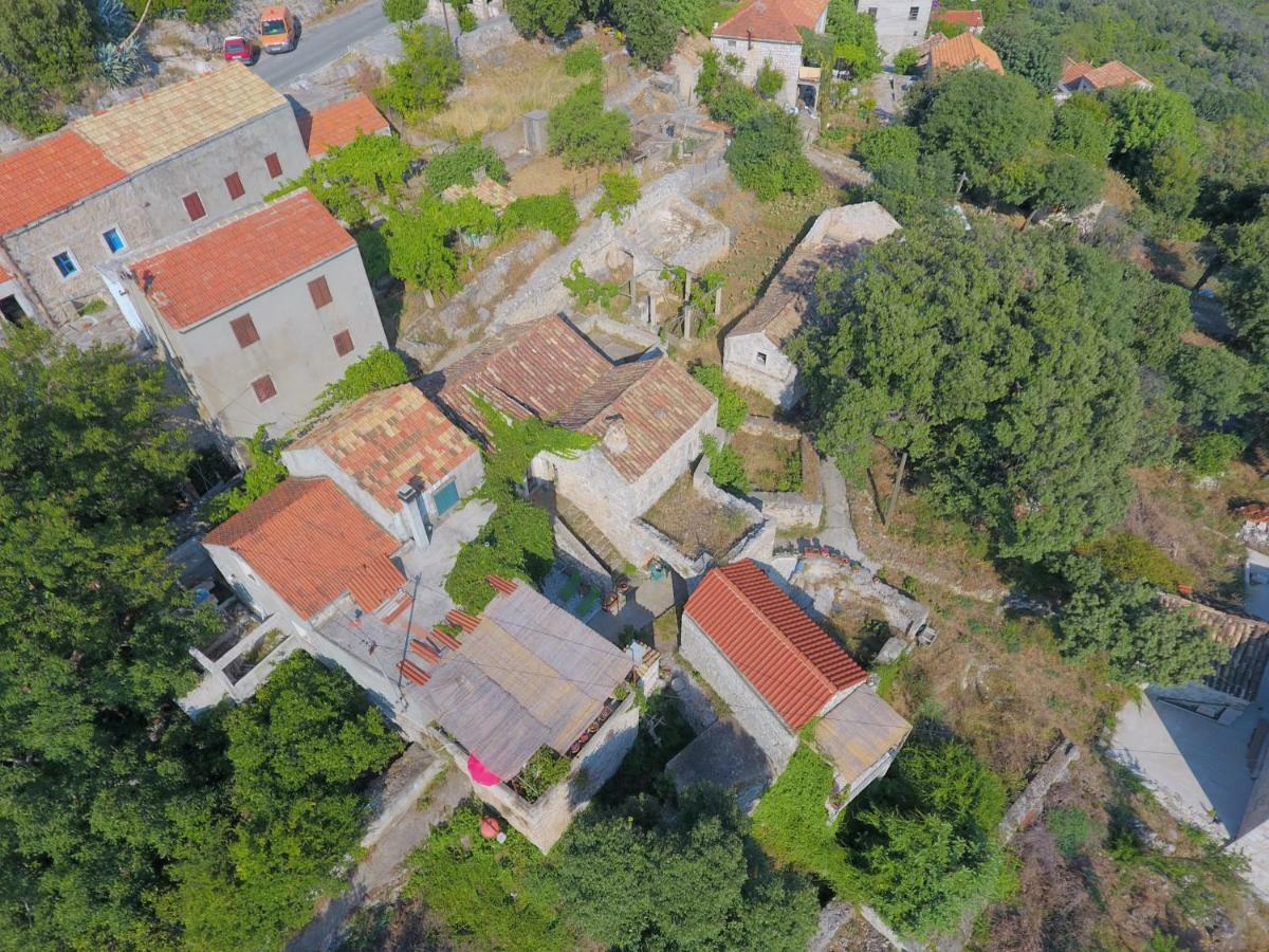 Cottage Melita The Apartment For Animal Lovers Babino Polje 외부 사진